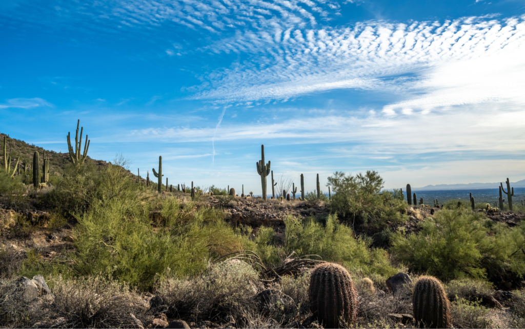 Semaglutide Mesa AZ