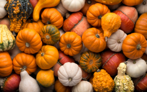 Pumpkin Recipes for Fall